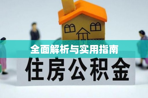 电白全面解析与实用指南